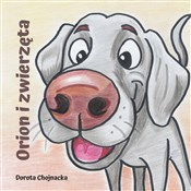Polnische buch : Orion i zw... - Dorota Chojnacka