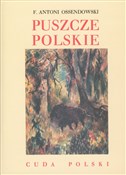 Polnische buch : Puszcze po... - Antoni Ferdynand Ossendowski