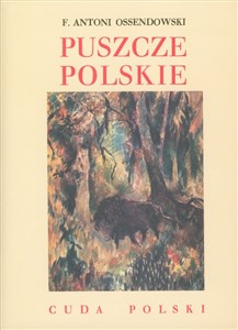 Obrazek Puszcze polskie Cuda Polski