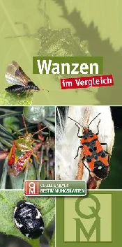 Zobacz : WANZEN