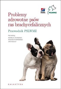 Obrazek Problemy zdrowotne psów ras brachycefalicznych