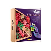 Zestaw z m... -  fremdsprachige bücher polnisch 