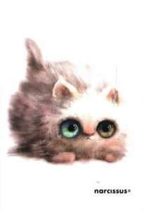 Bild von Zeszyt PP Fun A5 w kratkę 60 kartek 9 sztuk