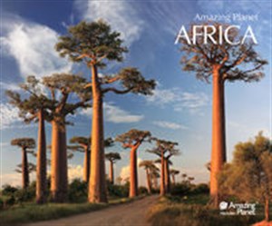 Bild von Afryka 5 fotografii w passe-partout