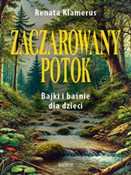 Zaczarowan... - Renata Klamerus - buch auf polnisch 