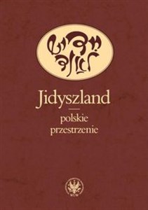 Obrazek Jidyszland polskie przestrzenie