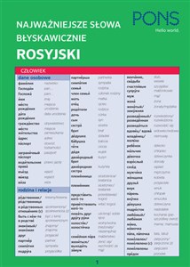 Bild von Błyskawicznie gramatyka rosyjska mini