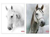 Zobacz : Teczka z g...