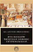 Polnische buch : Rys dziejó... - Antoni Brzeziński