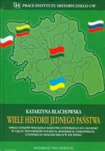 Bild von Wiele historii jednego państwa