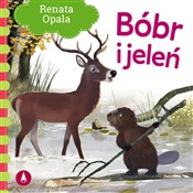 Zobacz : Bóbr i jel... - Renata Opala