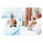 Polska książka : Teczka z g...