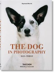 Bild von The Dog in Photography 1839 - Today