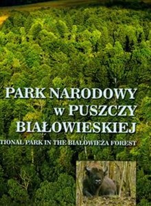 Bild von Park Narodowy w Puszczy Białowieskiej