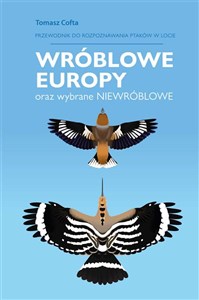 Obrazek Wróblowe Europy Przewodnik do rozpoznawanie ptaków w locie