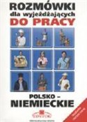Rozmówki d... - Górecki Stanisław, Brzeziński Jarosław -  polnische Bücher