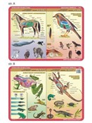 Podkładka ... -  polnische Bücher