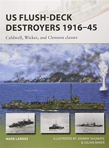 Bild von US Flush-Deck Destroyers 1916-