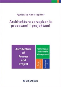 Obrazek Architektura zarządzania procesami i projektami