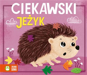 Obrazek Historyjki harmonijki Ciekawski jeżyk