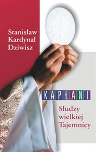 Obrazek Kapłani Słudzy wielkiej Tajemnicy