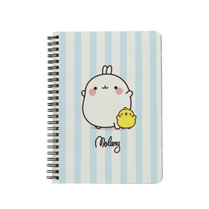 Bild von Notatnik A5 Molang