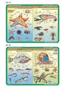 Bild von Podkładka edukacyjna 054 - Anatomia zwierząt. Szkarłupnie, skorupiaki, mięczaki, ryby