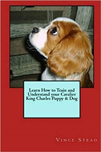 Obrazek Learn How to Train and Understand Your Cavalier King Charles Puppy & Dog