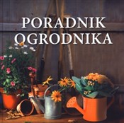 Poradnik o... - David Curnock -  fremdsprachige bücher polnisch 