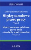 Międzynaro... - Andrzej Marian Świątkowski -  polnische Bücher