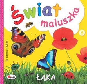 Obrazek Łąka. Świat maluszka