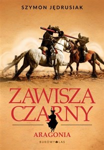 Bild von Zawisza Czarny Aragonia