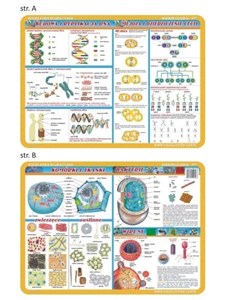 Obrazek Podkładka edu. 057 - Budowa i replikacje DNA...