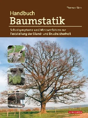 Bild von SINN, T: HANDBUCH BAUMSTATIK