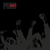 Bunt -  polnische Bücher