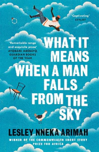 Obrazek NNEKA ARIMAH, L: WHAT IT MEANS WHEN A MAN FALLS FROM THE SKY