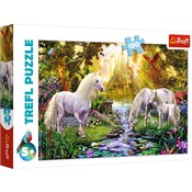 Polnische buch : Puzzle Sek...