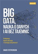 Polska książka : Big data, ... - David Stephenson