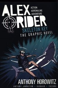 Obrazek Alex Rider Skeleton Key