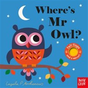 Bild von Where’s Mr Owl?