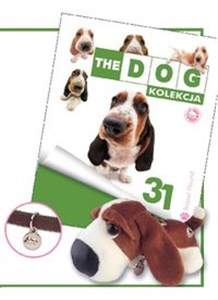 Obrazek Dog Kolekcja 31 Bassethound