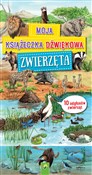 Polnische buch : Moja książ... - Opracowanie Zbiorowe