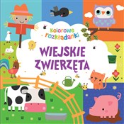 Polnische buch : Wiejskie z... - Monika Tomaszewska (tłum.)