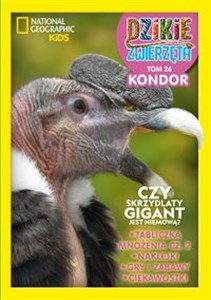 Bild von Dzikie Zwierzęta. 26 Kondor