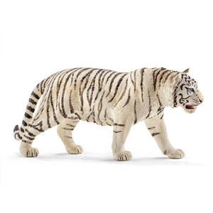 Bild von Biały tygrys