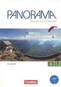 Panorama A... - Andrea Finster, Friederike Jin, Verena Paar-Grunbichler - buch auf polnisch 