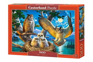 Obrazek Puzzle 500 Owl Family