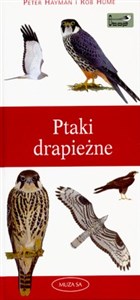 Obrazek Ptaki drapieżne. Przewodnik