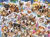 Puzzle 200... -  Polnische Buchandlung 