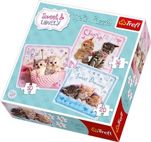 Obrazek Puzzle 3 w 1 Słodkie kotki